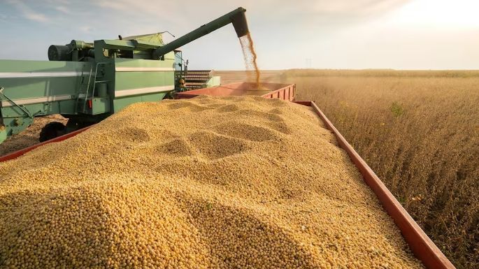 Tensión en el campo: mañana suben las retenciones para las exportaciones de granos