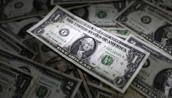 Las banderas rojas del plan de blanqueo del Gobierno