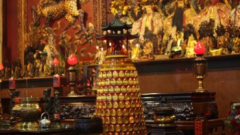 Horóscopo chino: jueves de intuición y detalles