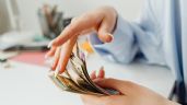 Foto ilustrativa de la nota titulada: Billetera virtual o plazo fijo: ¿dónde rinden mejor tus ahorros? 