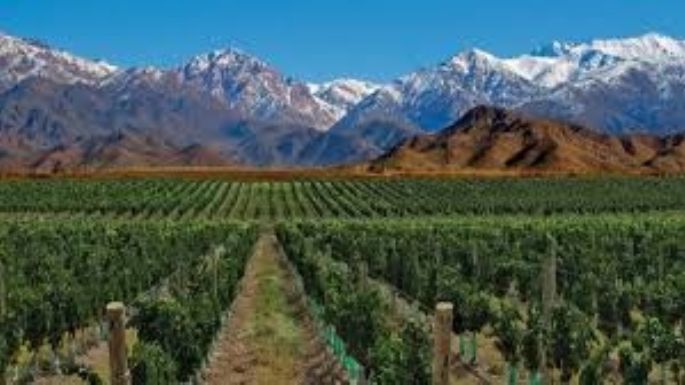 Críticas a revocación de derechos de agua, Irrigación dice que ya existe