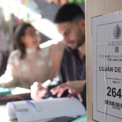 A contrarreloj: cuándo votaría Mendoza la suspensión de las PASO