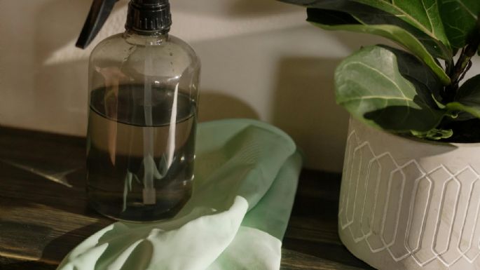 Vinagre y orégano: combinación perfecta de limpieza y desinfección