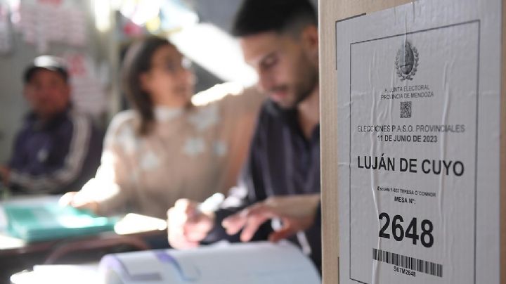 A contrarreloj: cuándo votaría Mendoza la suspensión de las PASO