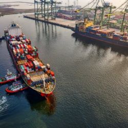 Tres sectores lograron récord histórico de exportaciones en los primeros seis meses del año