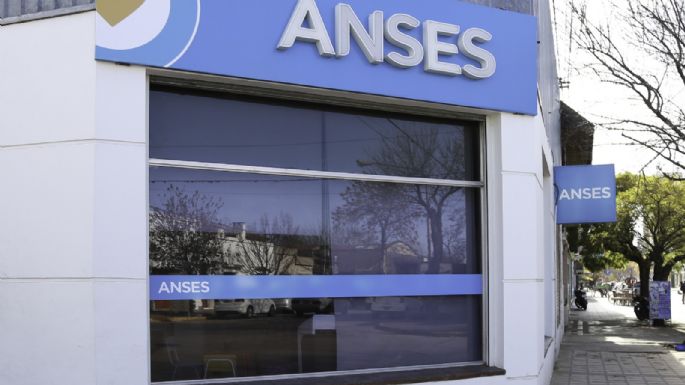 ¿Cómo consultar la historia laboral de manera simple?