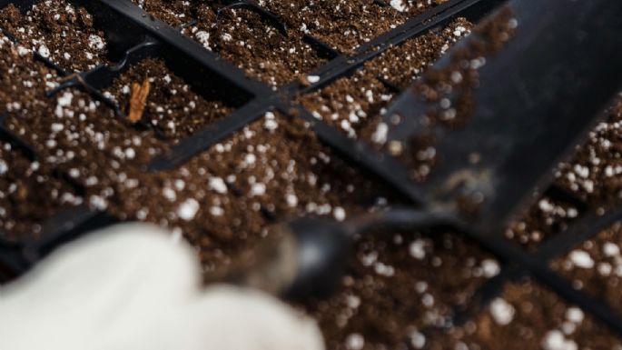 Perlitas: el secreto para un jardín perfecto