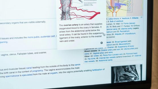 La importancia de la salud de los óvulos