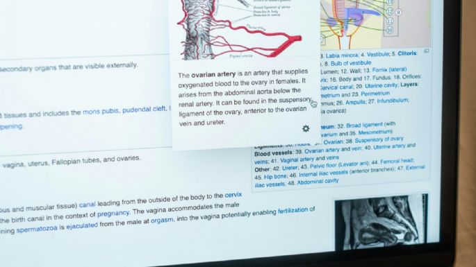 La importancia de la salud de los óvulos
