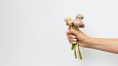 Foto ilustrativa de la nota titulada: El poderoso insecticida de ajo que protegerá tus plantas