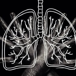 Durante 2024 se realizaron más de 4.200 trasplantes de órganos en Argentina