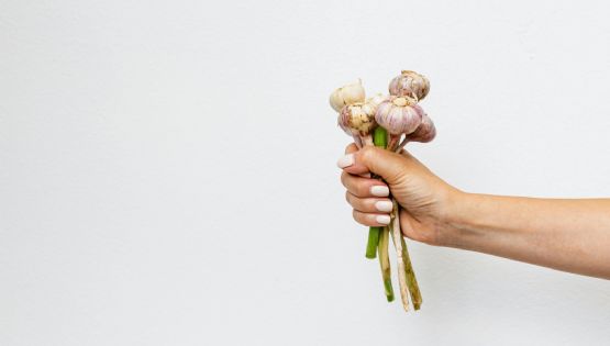El poderoso insecticida de ajo que protegerá tus plantas