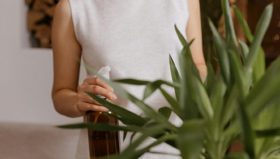 Caseros y naturales: tres fertilizantes líquidos para el jardín