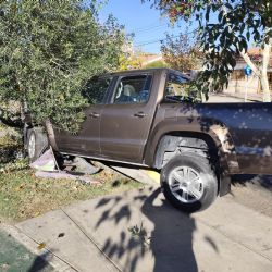 Robó dos veces y durante la huida chocó contra un árbol
