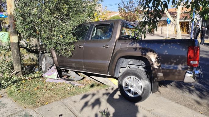 Robó dos veces y durante la huida chocó contra un árbol