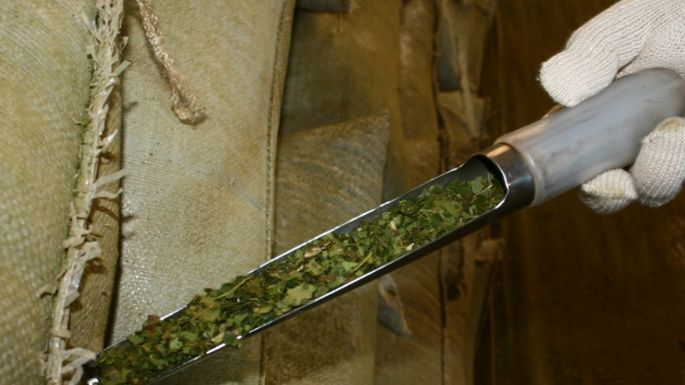 La cosecha de yerba mate cayó más del 30% en el primer trimestre del año