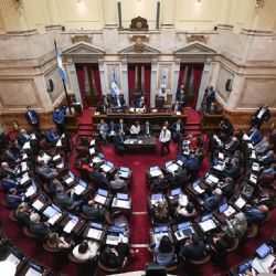 El Senado rechazó Ficha Limpia