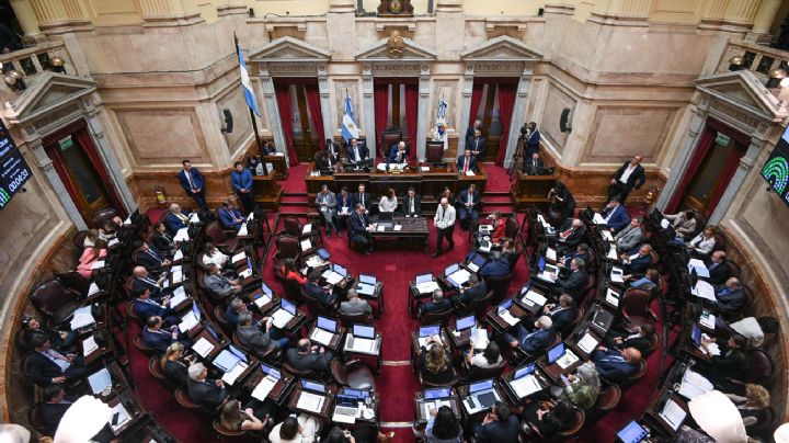 El Senado rechazó Ficha Limpia