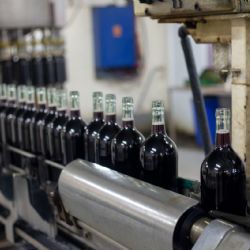 Vitivinicultura: impuestos se llevan hasta el 62% de las ventas