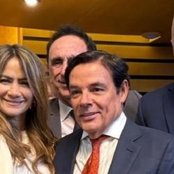 Elecciones en Misiones: renuevan 20 bancas