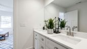 Foto ilustrativa de la nota titulada: Tres plantas perfectas para embellecer un baño