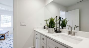 Tres plantas perfectas para embellecer un baño
