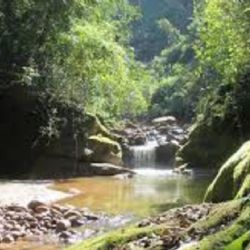 El paraíso escondido con fauna salvaje que pocos conocen