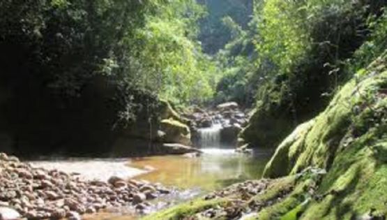 El paraíso escondido con fauna salvaje que pocos conocen