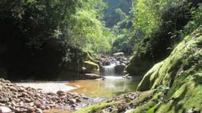El paraíso escondido con fauna salvaje que pocos conocen