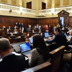 Avanza la suspensión de las PASO en Mendoza