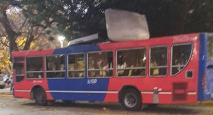 Un colectivo chocó con una rama y perdió el techo