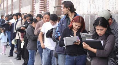 Se presentaron 3.000 postulantes para 60 empleos