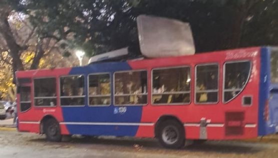 Un colectivo chocó con una rama y perdió el techo