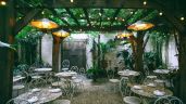 Foto ilustrativa de la nota titulada: Sombra natural: las tres mejores plantas para tu pérgola