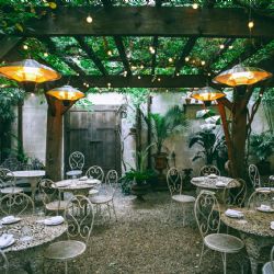 Sombra natural: las tres mejores plantas para tu pérgola