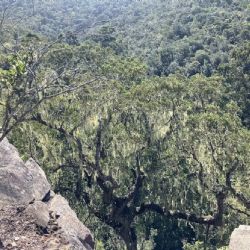 Hallan una civilización perdida de 10.000 años de antigüedad