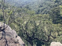 Hallan una civilización perdida de 10.000 años de antigüedad