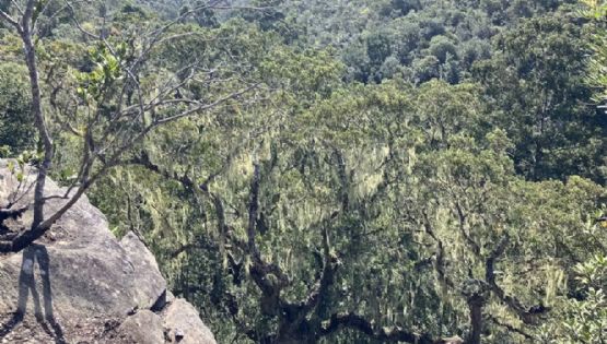 Hallan una civilización perdida de 10.000 años de antigüedad