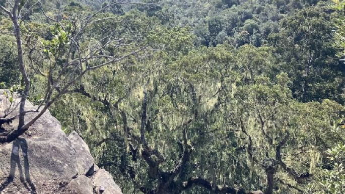 Hallan una civilización perdida de 10.000 años de antigüedad