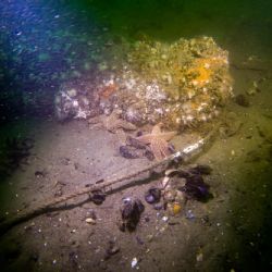 El descubrimiento que le puso fin a un largo misterio