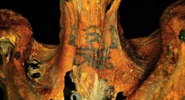 La increíble momia de una hechicera cuyo cuerpo tenía 30 tatuajes mágicos