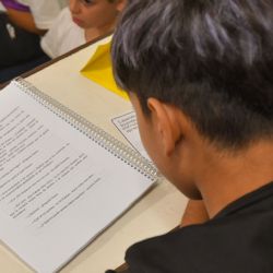 Sobre la preocupación por la comprensión lectora