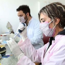 Desarrollaron una nueva vacuna contra la tos convulsa