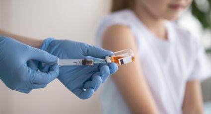 Alerta epidemiológica: un nuevo caso de dengue y 77 de Coqueluche