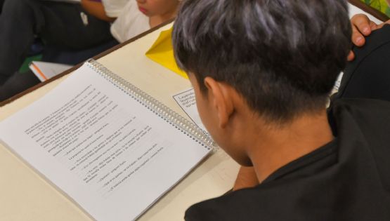 Sobre la preocupación por la comprensión lectora