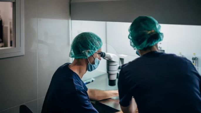 Las 5 cosas que hay que saber acerca de la fertilidad 
