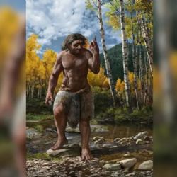 Un hallazgo revolucionario que redefine la evolución humana