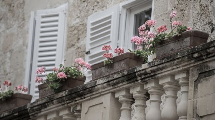 Balcón verde: cinco plantas ideales para crear un pequeño oasis