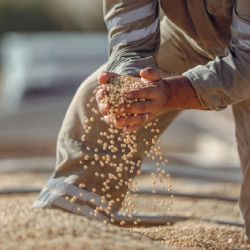 Crece el malestar del campo por la baja de retenciones