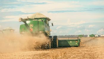 Soja: el impacto negativo que tendrá en Argentina el acuerdo de EE.UU. y China